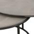 Dorian Nesting Table (AP-DCT-484819) - Shagreen